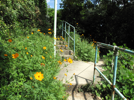 20140922hike (50)